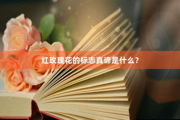 红玫瑰花的标志真谛是什么？