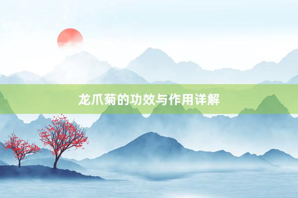 龙爪菊的功效与作用详解