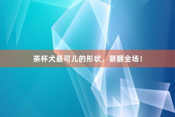 茶杯犬最可儿的形状，萌翻全场！